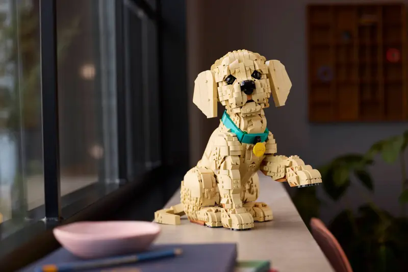 LEGO 11384 Szczeniak golden retriever zdjęcie 9