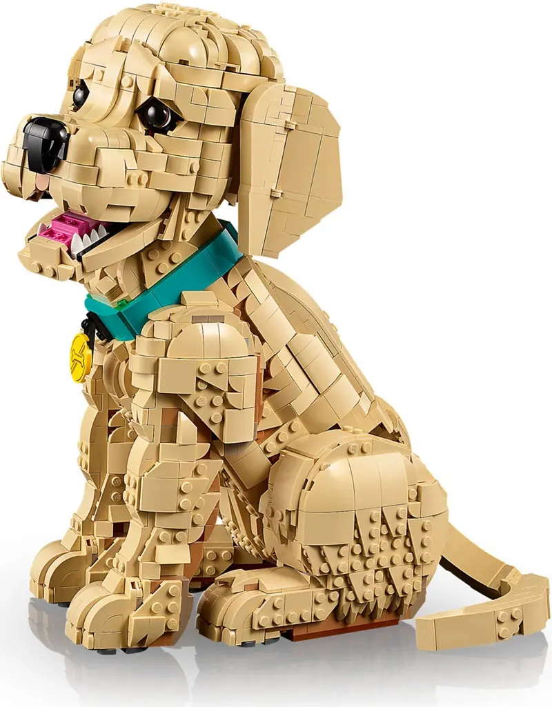 LEGO 11384 Szczeniak golden retriever zdjęcie 3