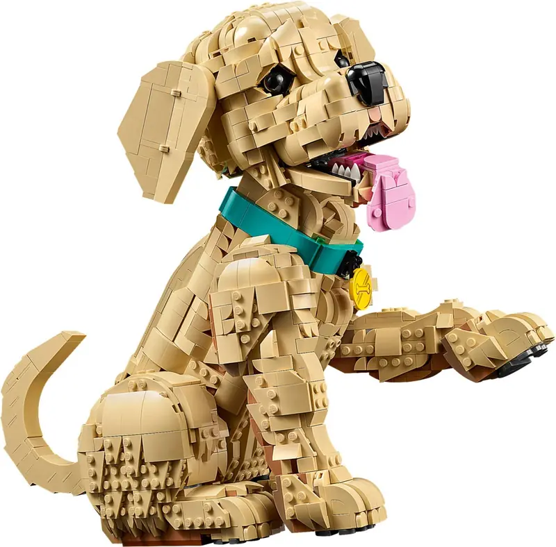 LEGO 11384 Szczeniak golden retriever zdjęcie 4