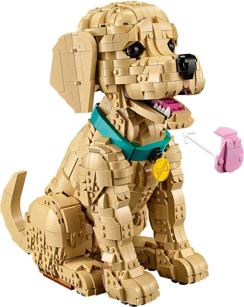 LEGO 11384 Szczeniak golden retriever zdjęcie 5