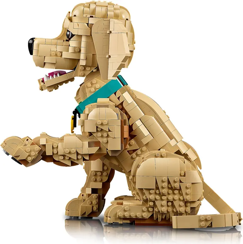 LEGO 11384 Szczeniak golden retriever zdjęcie 6