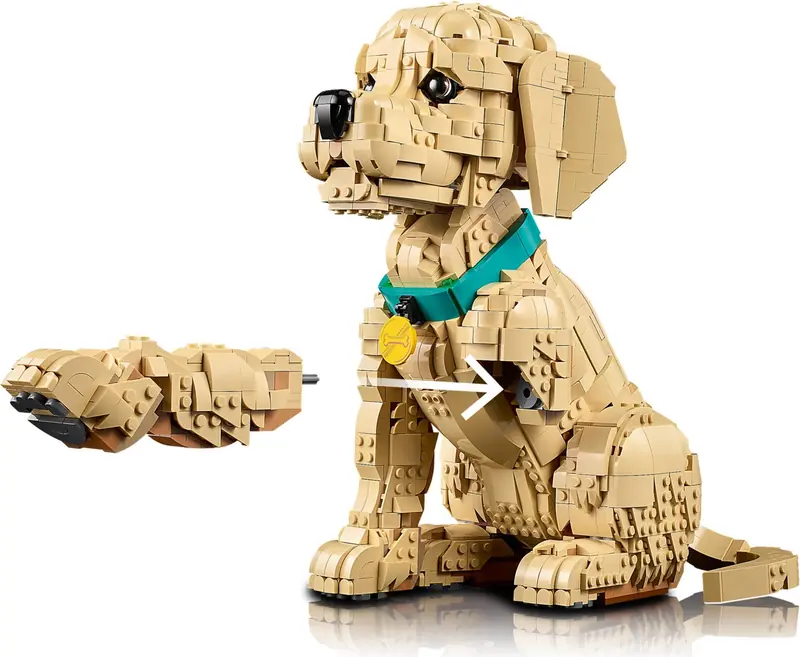 LEGO 11384 Szczeniak golden retriever zdjęcie 7