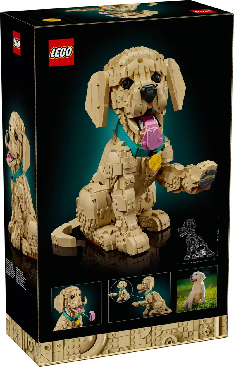 LEGO 11384 Szczeniak golden retriever zdjęcie 2