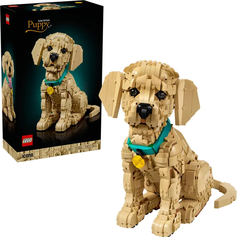 LEGO 11384 Szczeniak golden retriever zdjęcie 8