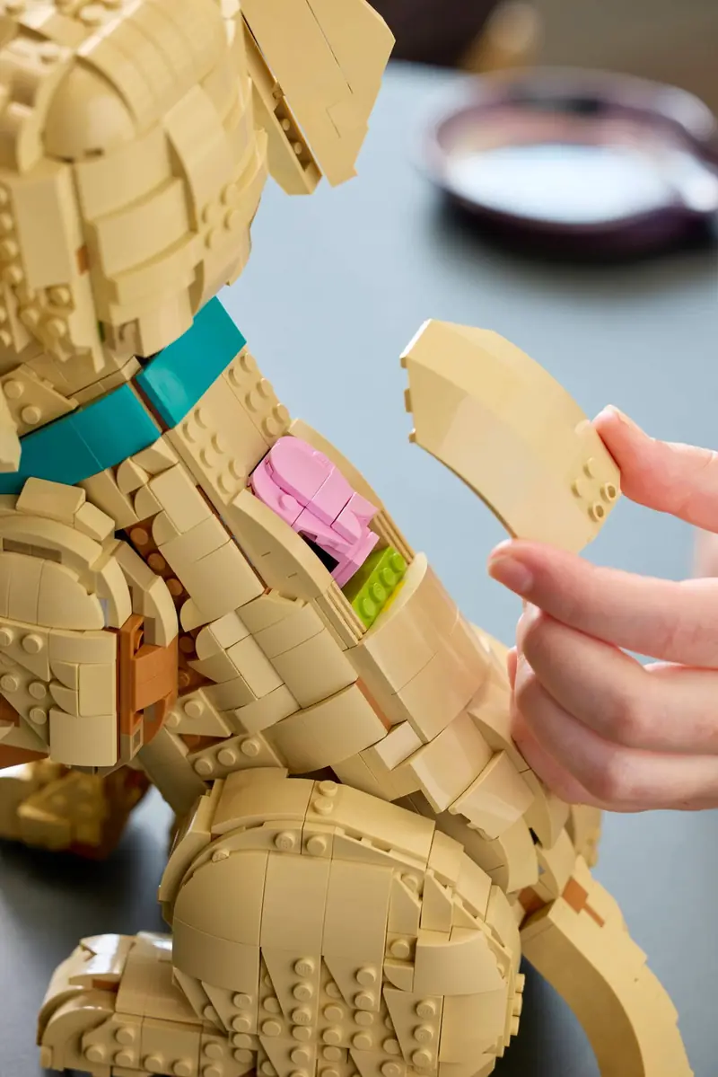LEGO 11384 Szczeniak golden retriever zdjęcie 12