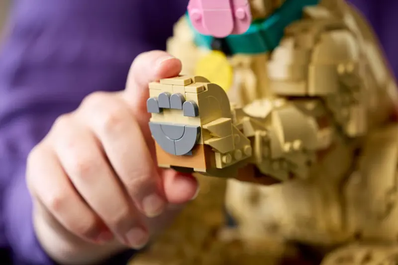 LEGO 11384 Szczeniak golden retriever zdjęcie 14