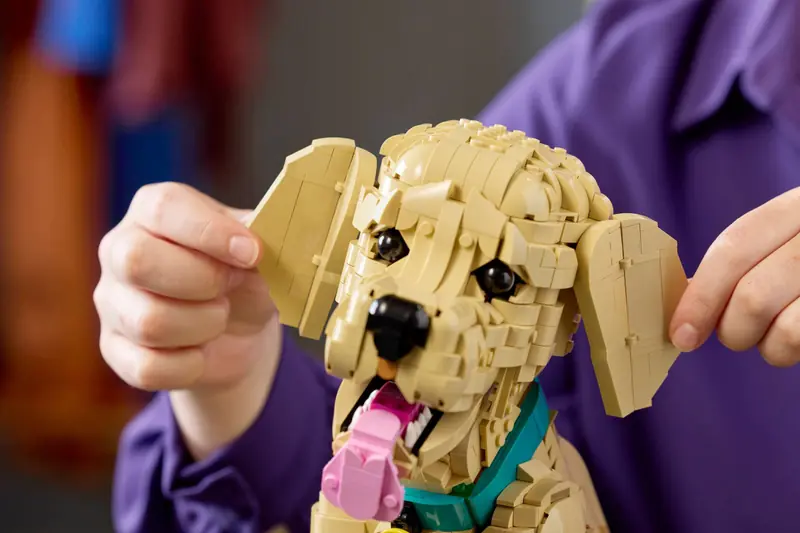 LEGO 11384 Szczeniak golden retriever zdjęcie 15