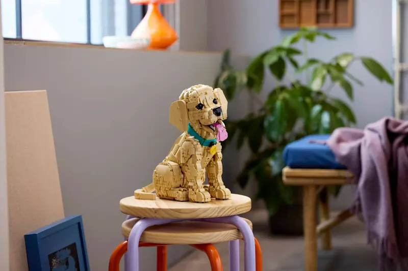 LEGO 11384 Szczeniak golden retriever zdjęcie 17