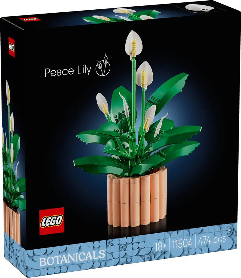 LEGO 11504 Skrzydłokwiat zdjęcie 2