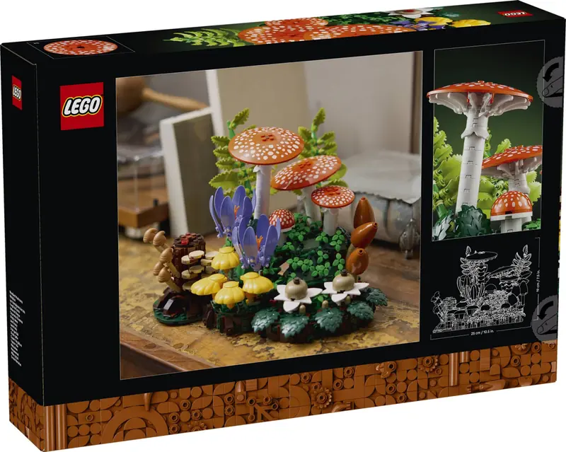 LEGO 11505 Grzyby leśne zdjęcie 2