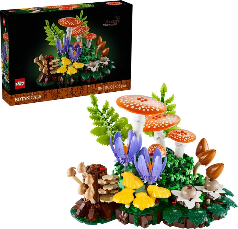 LEGO 11505 Grzyby leśne zdjęcie 3