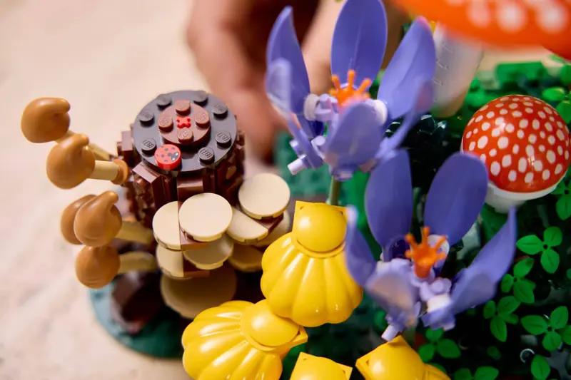 LEGO 11505 Grzyby leśne zdjęcie 8