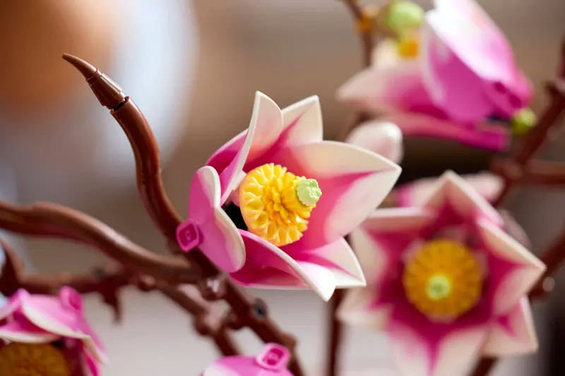 LEGO 11510 Gałązki magnolii zdjęcie 18