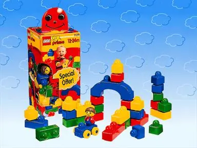 LEGO 2019 Building Fun