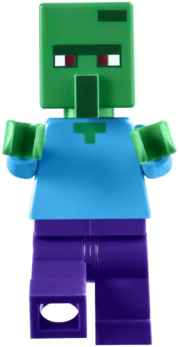 LEGO 21128 Wioska zdjęcie 15