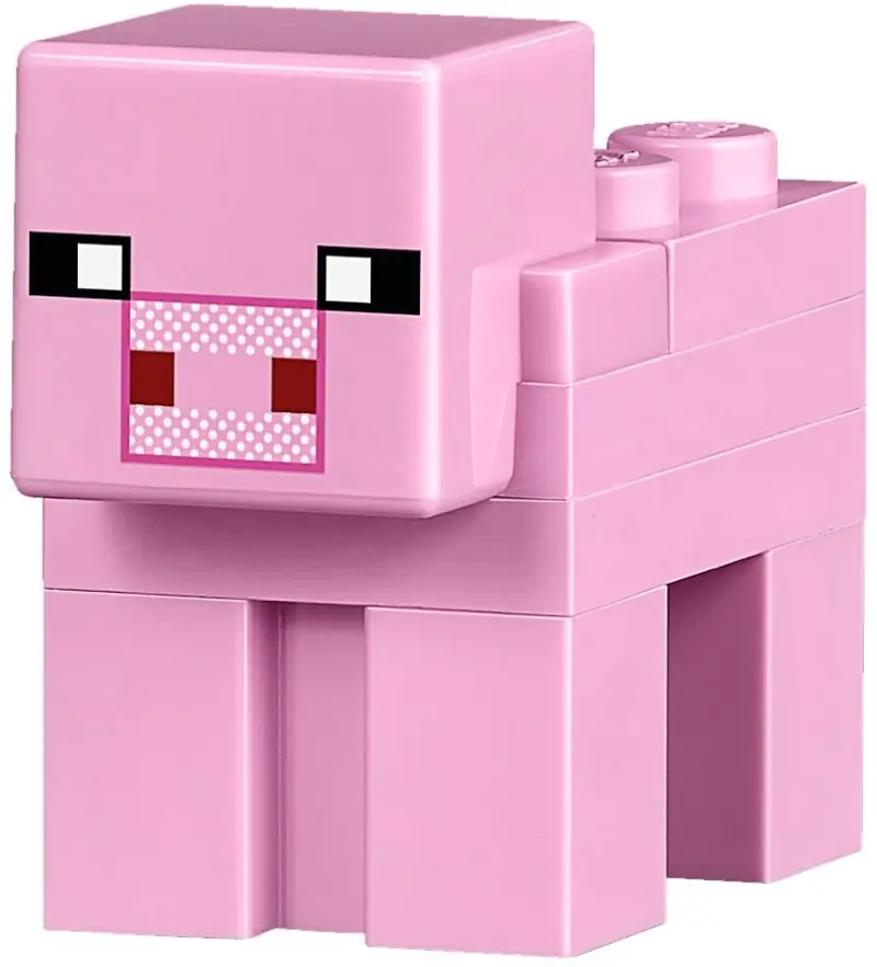 LEGO 21133 Chatka czarownicy zdjęcie 11
