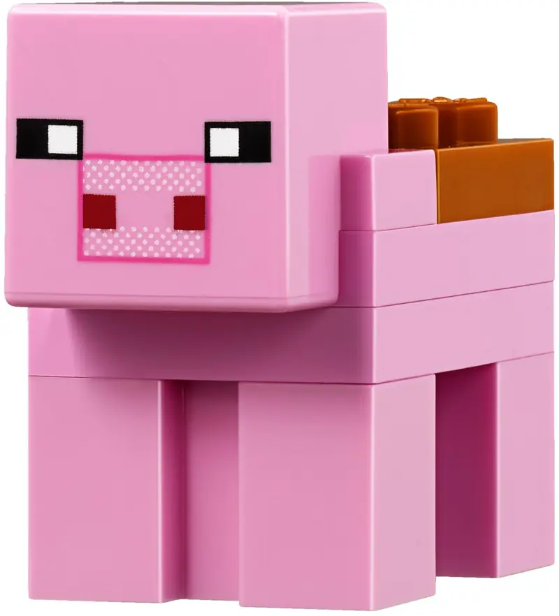 LEGO 21138 Farma arbuzów zdjęcie 9