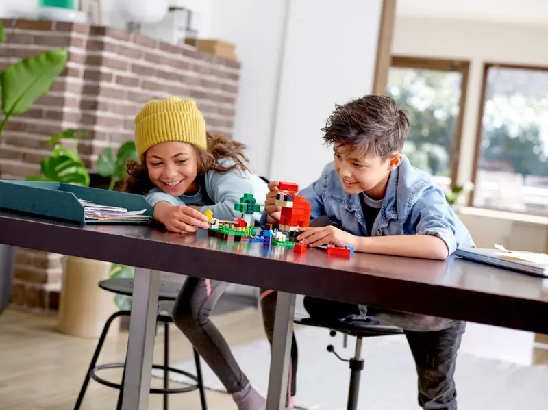 LEGO 21153 Hodowla owiec zdjęcie 11