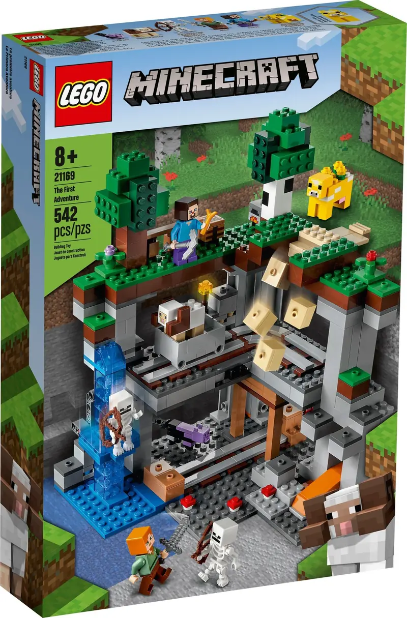 LEGO 21169 Pierwsza przygoda zdjęcie 5