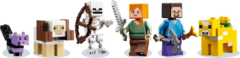 LEGO 21169 Pierwsza przygoda zdjęcie 3