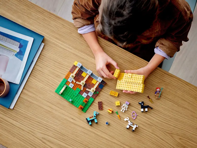 LEGO 21171 Stajnia zdjęcie 8