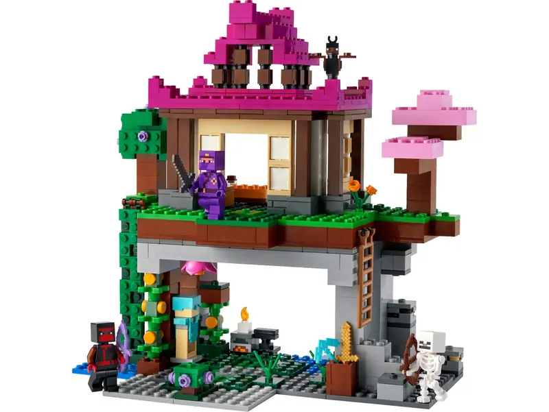 LEGO 21183 Teren szkoleniowy