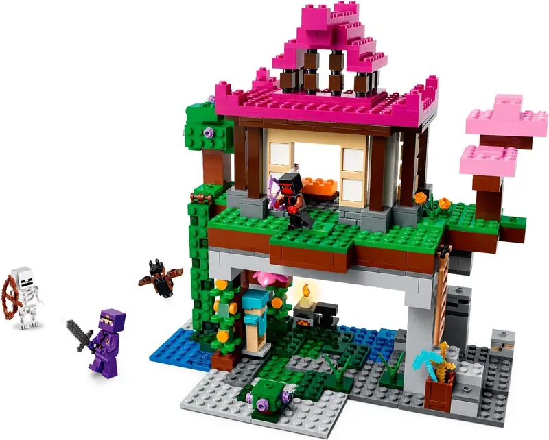 LEGO 21183 Teren szkoleniowy zdjęcie 3