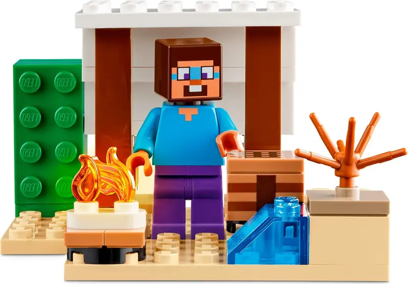 LEGO 21251 Pustynna wyprawa Steve’a zdjęcie 3