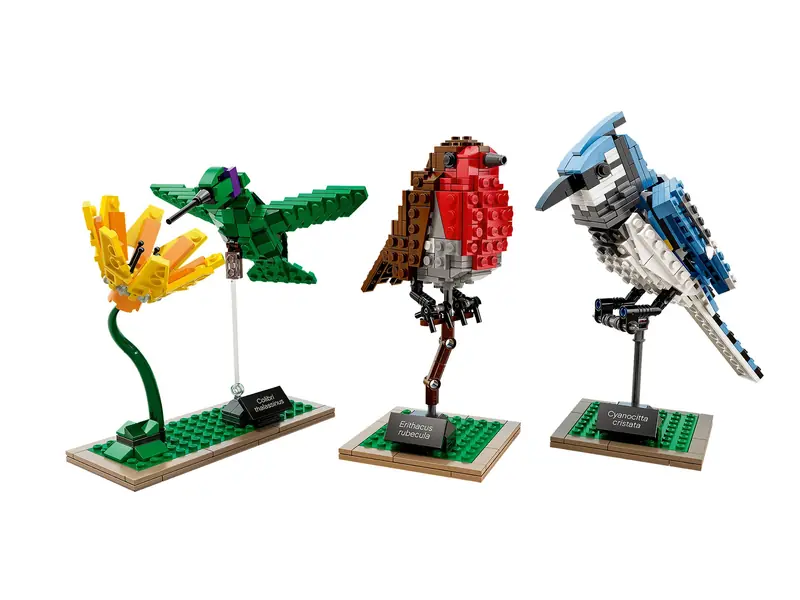 LEGO 21301 Ptaki