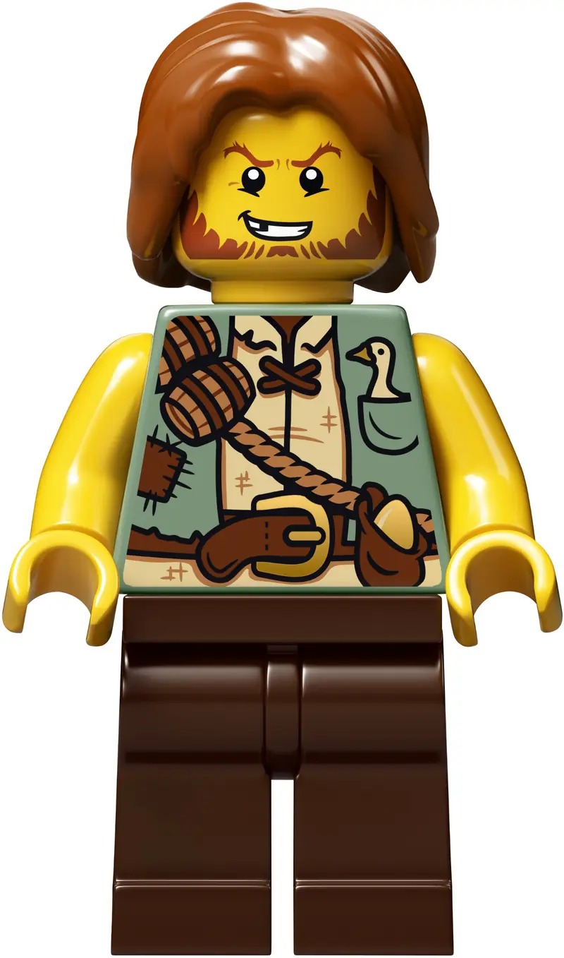 LEGO 21315 Wyskakująca książką zdjęcie 2