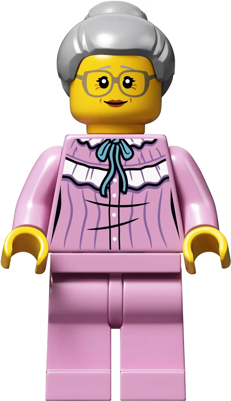 LEGO 21315 Wyskakująca książką zdjęcie 3