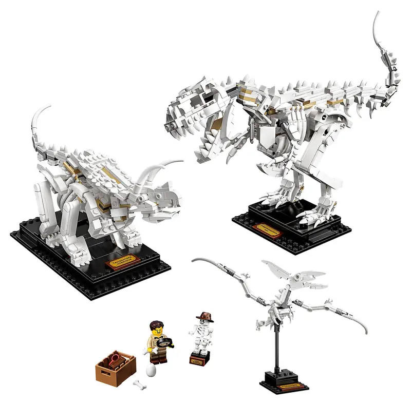 LEGO 21320 Szkielety dinozaurów