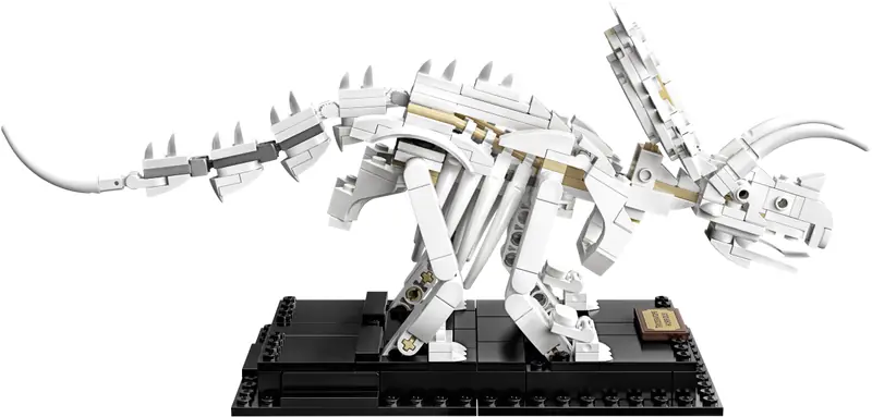 LEGO 21320 Szkielety dinozaurów zdjęcie 11