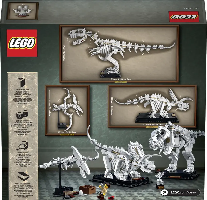 LEGO 21320 Szkielety dinozaurów zdjęcie 13