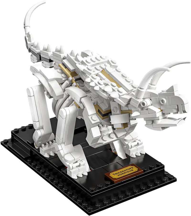 LEGO 21320 Szkielety dinozaurów zdjęcie 14