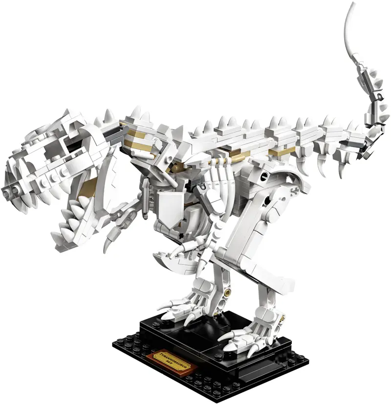 LEGO 21320 Szkielety dinozaurów zdjęcie 15
