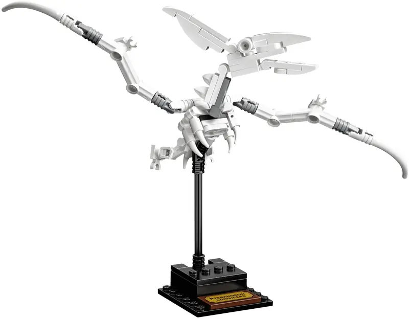 LEGO 21320 Szkielety dinozaurów zdjęcie 16