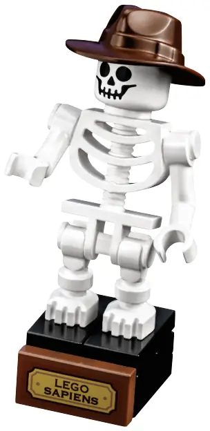 LEGO 21320 Szkielety dinozaurów zdjęcie 18