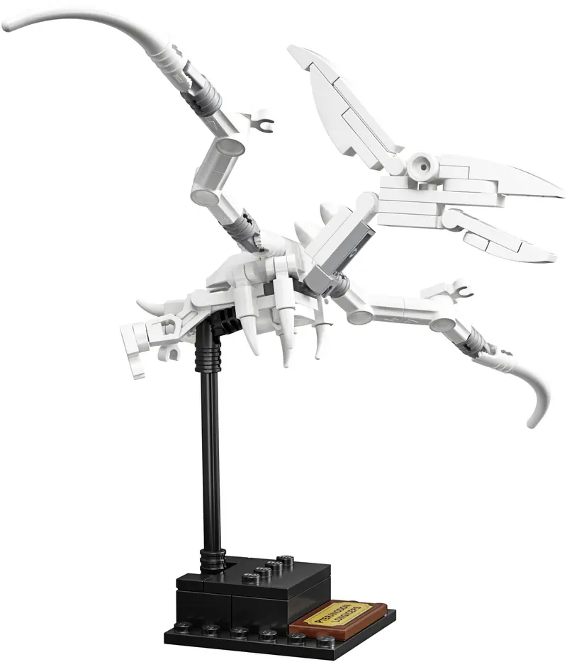 LEGO 21320 Szkielety dinozaurów zdjęcie 19