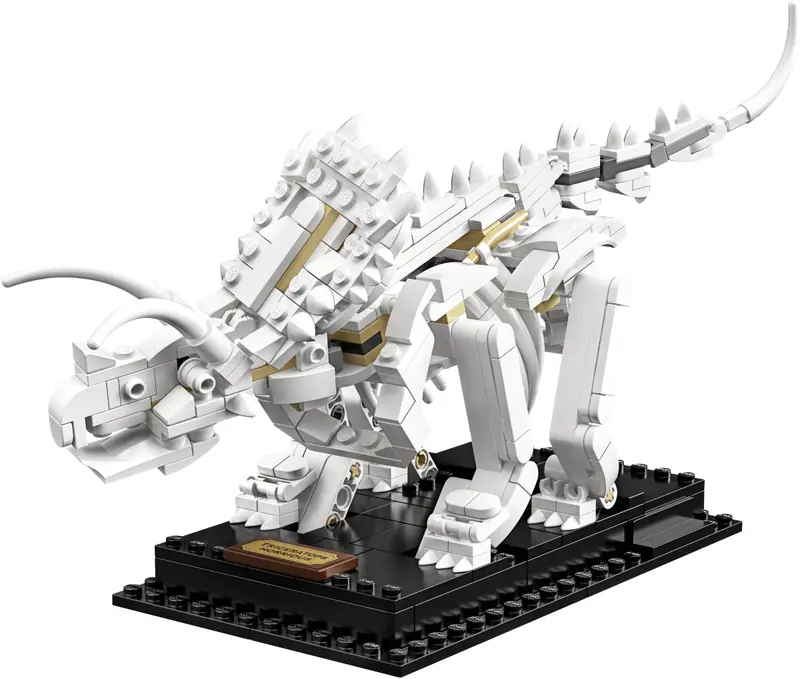 LEGO 21320 Szkielety dinozaurów zdjęcie 21