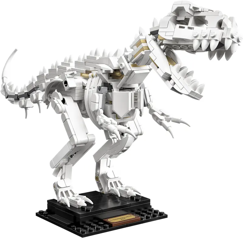 LEGO 21320 Szkielety dinozaurów zdjęcie 22