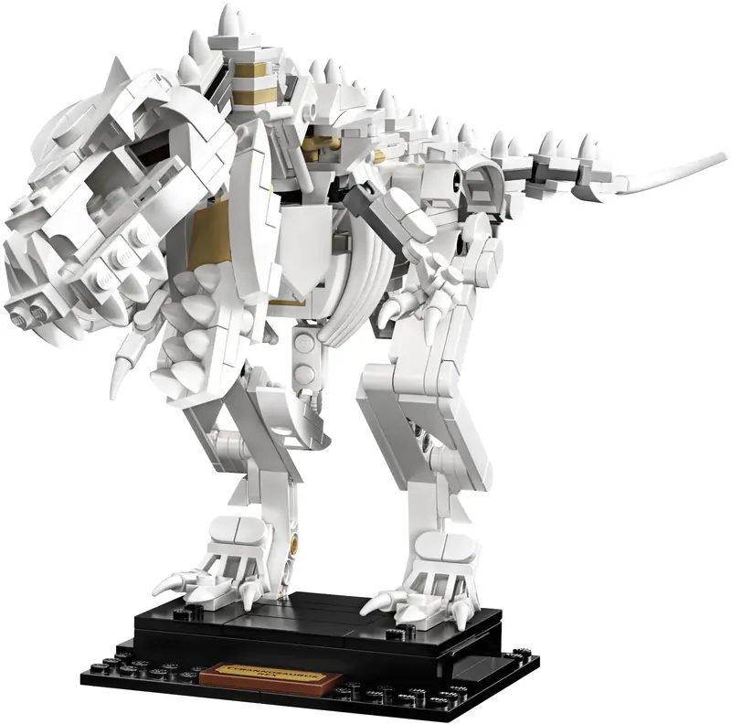 LEGO 21320 Szkielety dinozaurów zdjęcie 4