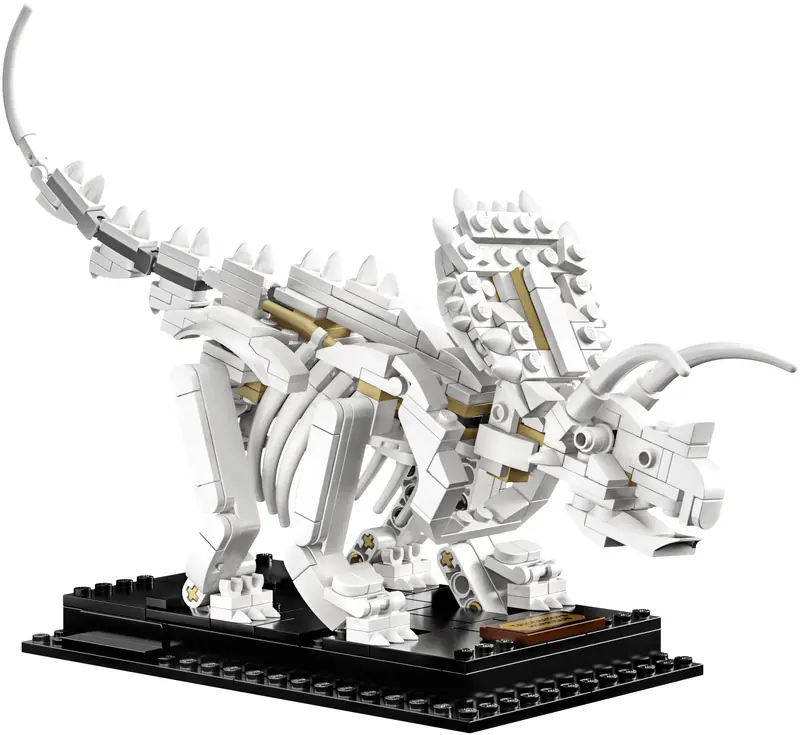 LEGO 21320 Szkielety dinozaurów zdjęcie 5