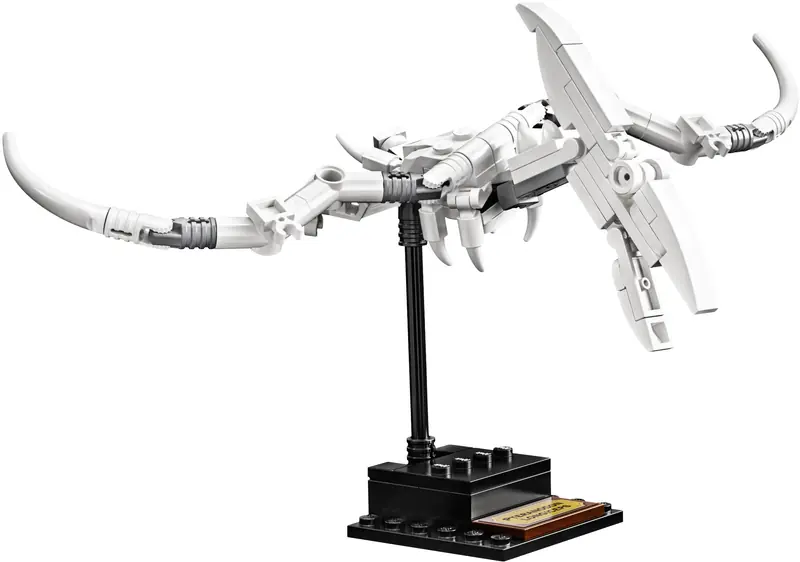 LEGO 21320 Szkielety dinozaurów zdjęcie 6
