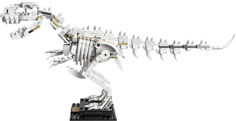 LEGO 21320 Szkielety dinozaurów zdjęcie 9