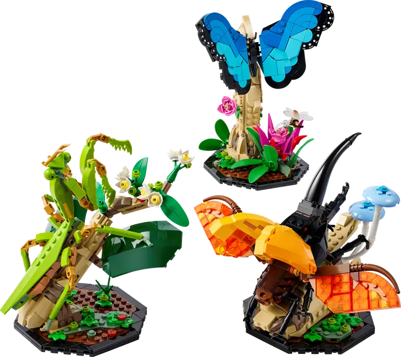 LEGO 21342 Kolekcja owadów