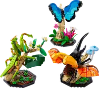 LEGO 21342 Kolekcja owadów