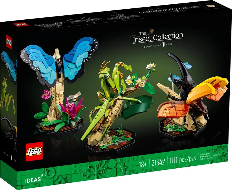 LEGO 21342 Kolekcja owadów zdjęcie 2