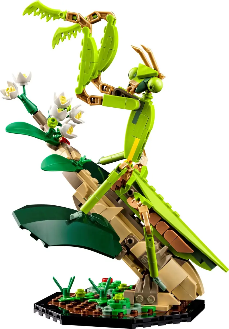 LEGO 21342 Kolekcja owadów zdjęcie 4