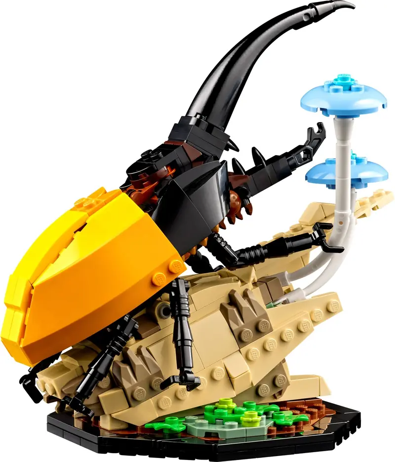LEGO 21342 Kolekcja owadów zdjęcie 5